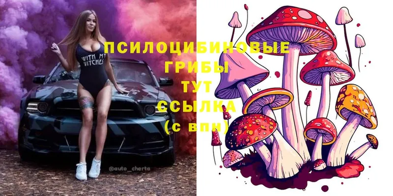 Псилоцибиновые грибы Magic Shrooms  hydra зеркало  Козельск  закладка 